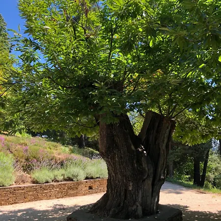 Villa La Bastide En Cevennes *